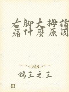 右脚大拇指骨头痛什么原因引起的