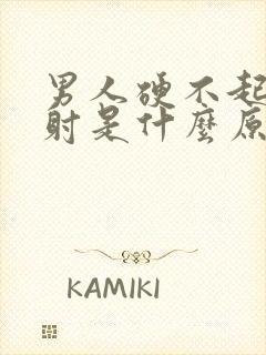 男人硬不起来就射是什么原因