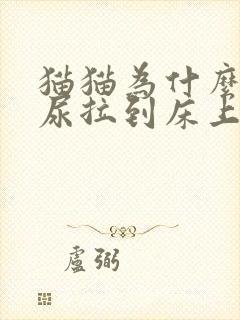 猫猫为什么乱拉尿拉到床上