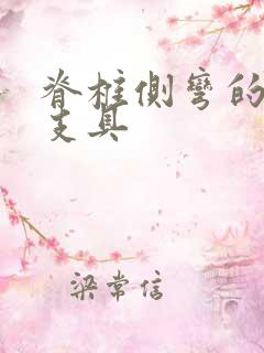 脊椎侧弯的矫正支具