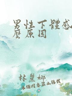 男性下体感染什么原因