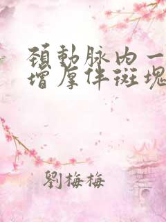 颈动脉内一中膜增厚伴斑块