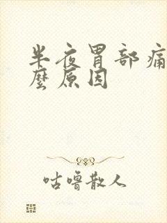 半夜胃部痛是什么原因