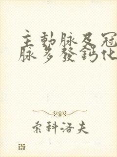 主动脉及冠状动脉多发钙化