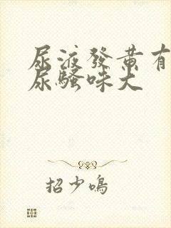 尿液发黄有泡沫尿骚味大