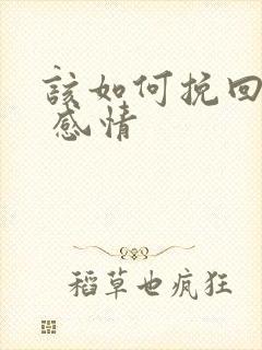 该如何挽回婚姻 感情