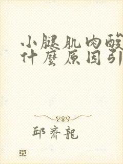 小腿肌肉酸胀痛什么原因引起的