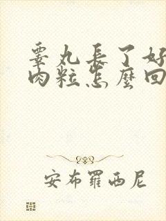 睾丸长了好多小肉粒怎么回事