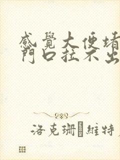 感觉大便堵在肛门口拉不出来