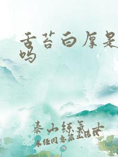 舌苔白厚是湿气吗