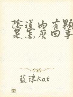 阴道内有颗粒状是怎么回事