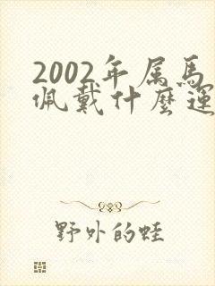 2002年属马佩戴什么运气最好