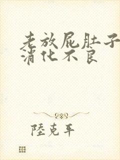 老放屁肚子胀气消化不良