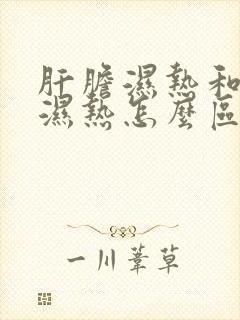 肝胆湿热和脾胃湿热怎么区分