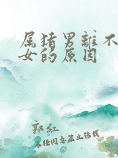 属猪男离不开龙女的原因