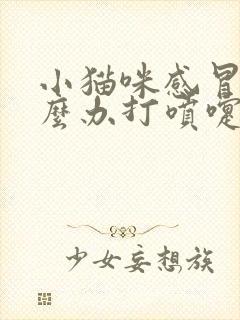 小猫咪感冒了怎么办打喷嚏流鼻涕