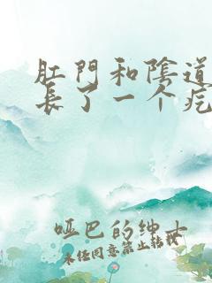 肛门和阴道中间长了一个疙瘩