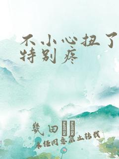 不小心扭了腰,特别疼