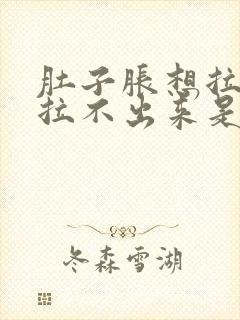 肚子胀想拉屎又拉不出来是什么原因