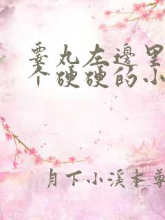 睾丸左边里面有个硬硬的小疙瘩