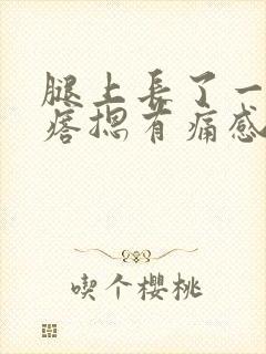 腿上长了一个疙瘩摁有痛感