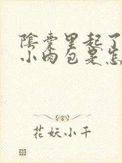 阴囊里起了两个小肉包是怎么回事