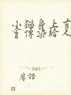 小猫身上有虫子会传染给人么