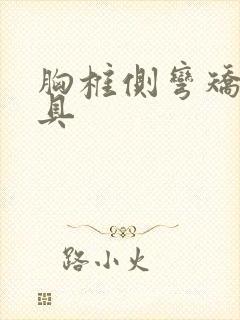 胸椎侧弯矫形支具