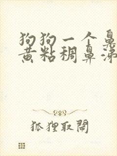 狗狗一个鼻孔流黄粘稠鼻涕怎么办