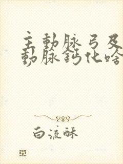 主动脉弓及冠状动脉钙化啥意思