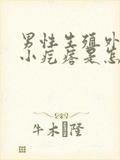 男性生殖外皮有小疙瘩是怎么回事