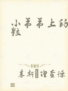 小弟弟上的小肉粒