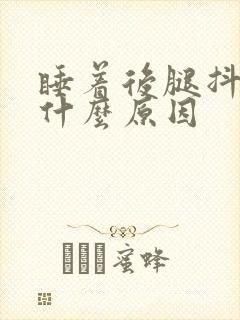 睡着后腿抖动是什么原因