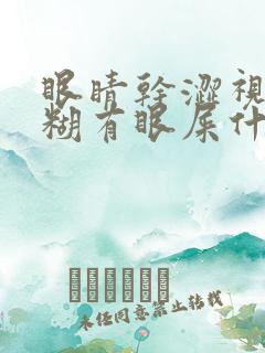 眼睛干涩视力模糊有眼屎什么原因