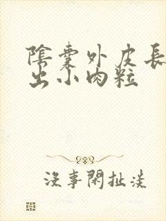 阴囊外皮长个突出小肉粒