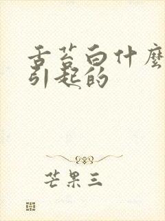 舌苔白什么原因引起的