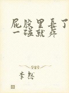 屁股里长了个包一碰就疼