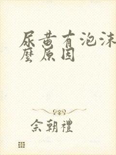 尿黄有泡沫是什么原因