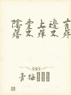 阴囊上边有小疙瘩又痒又疼