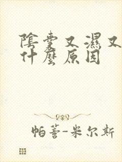 阴囊又湿又痒是什么原因