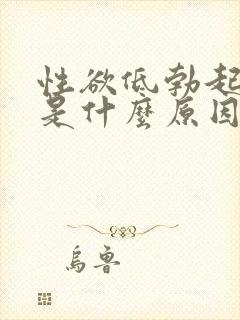 性欲低勃起不坚是什么原因