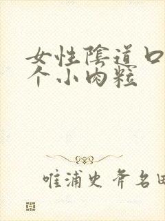 女性阴道口内有个小肉粒