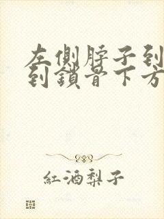 左侧脖子到肩膀到锁骨下方一侧疼