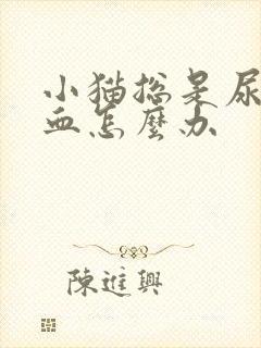 小猫总是尿还带血怎么办