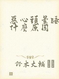 恶心头晕睡不着什么原因