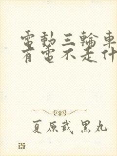 电动三轮车冬天有电不走什么原因