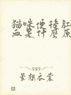 猫咪便后肛门带血是什么原因