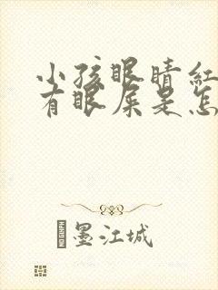 小孩眼睛红血丝有眼屎是怎么回事