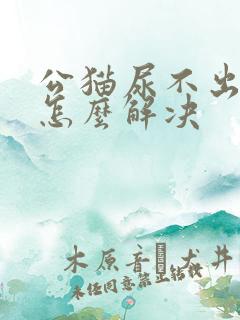 公猫尿不出来尿怎么解决