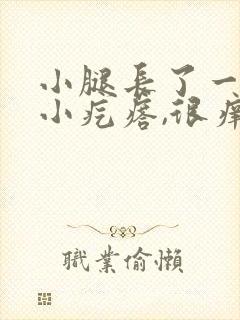 小腿长了一粒粒小疙瘩,很痒